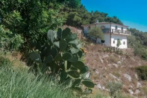 Casas payesas en Ibiza